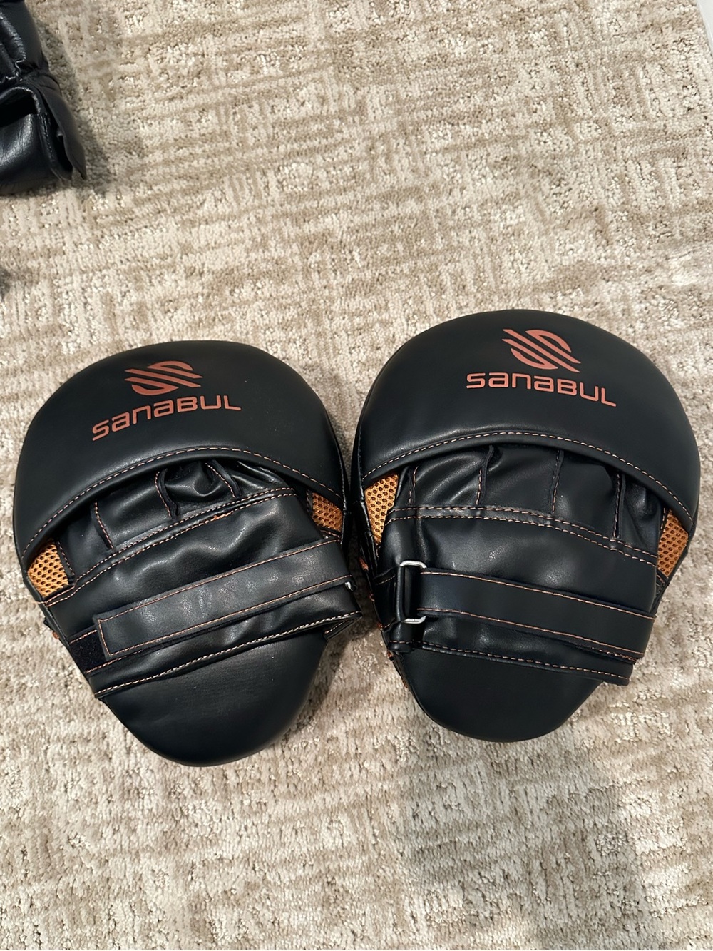 Sanabul Hitting Mitts